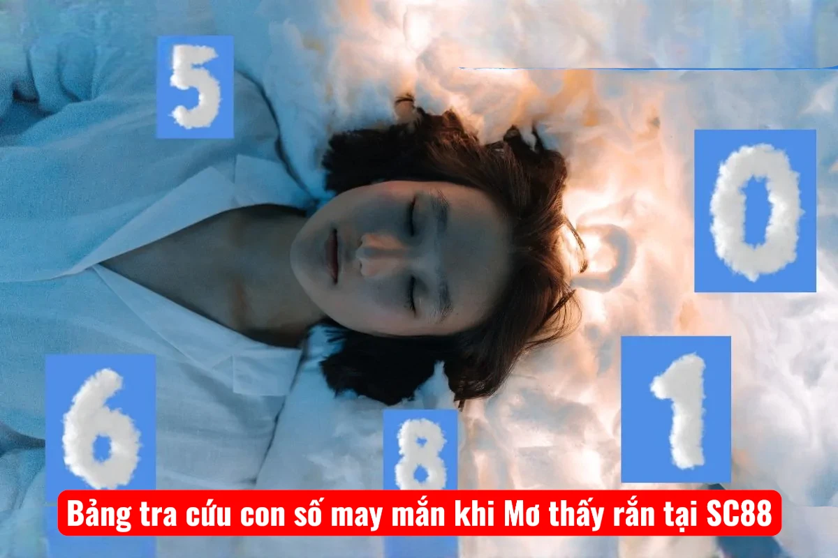 bang-tra-cuu-con-so-may-man-khi-mo-thay-ran-tai-sc88-1 Bảng tra cứu con số may mắn khi Mơ thấy rắn tại SC88
