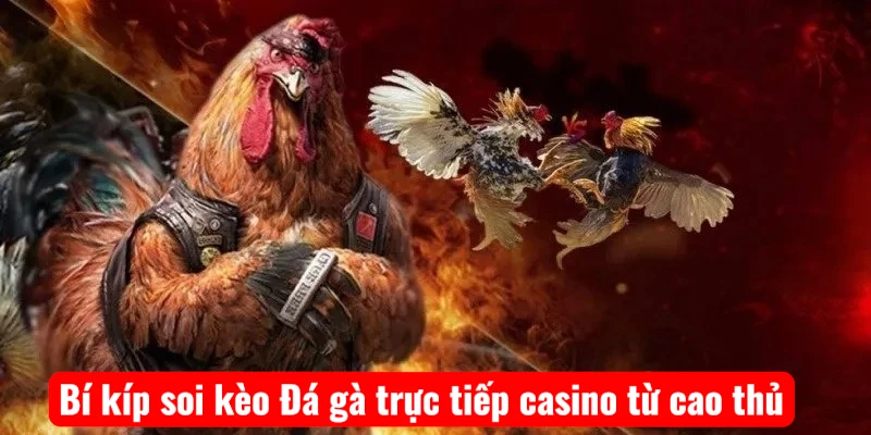 bi-kip-soi-keo-da-ga-truc-tiep-casino-tu-cao-thu-1 Bí kíp soi kèo Đá gà trực tiếp casino từ cao thủ