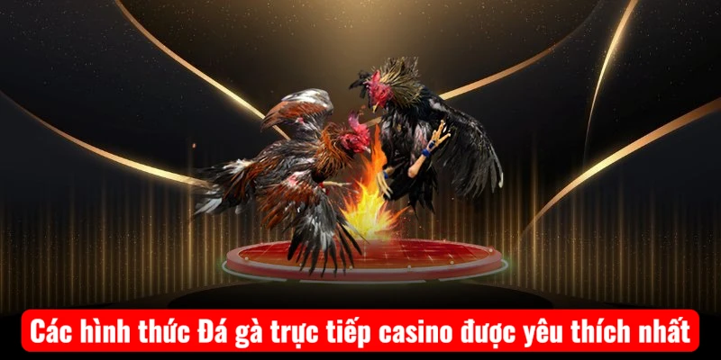 cac-hinh-thuc-da-ga-truc-tiep-casino-duoc-yeu-thich-nhat-1 Các hình thức Đá gà trực tiếp casino được yêu thích nhất