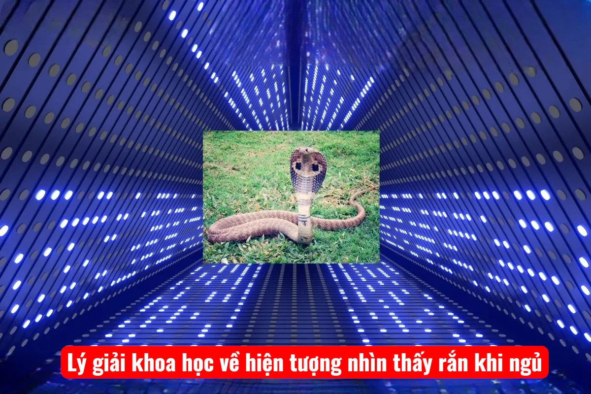 ly-giai-khoa-hoc-ve-hien-tuong-nhin-thay-ran-khi-ngu-1 Lý giải khoa học về hiện tượng nhìn thấy rắn khi ngủ