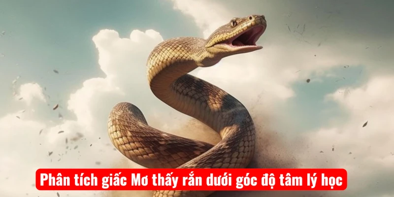 phan-tich-giac-mo-thay-ran-duoi-goc-do-tam-ly-hoc Phân tích giấc Mơ thấy rắn dưới góc độ tâm lý học